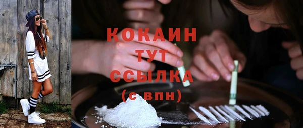 дмт Горняк