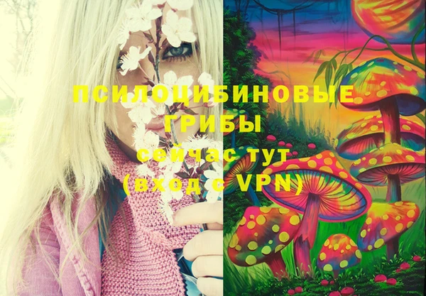 дмт Горняк