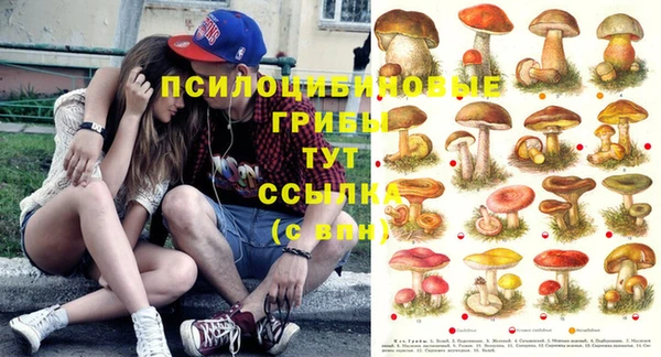 дмт Горняк